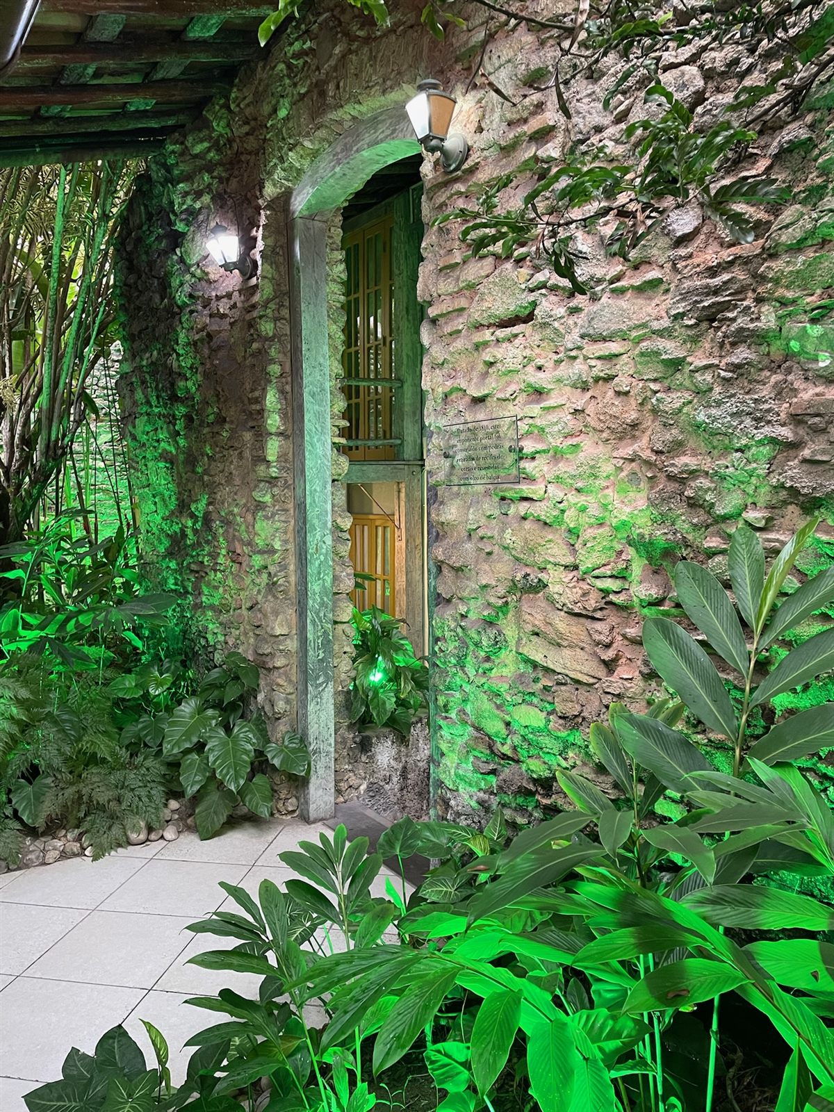 Jardim iluminado à noite