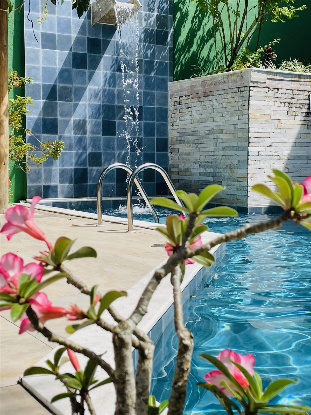 Flores ao lado da piscina